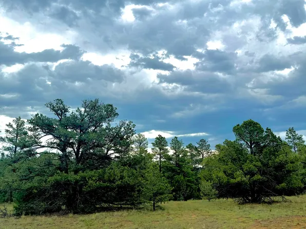 1145 Rancho La Marina, Weston, CO 81091