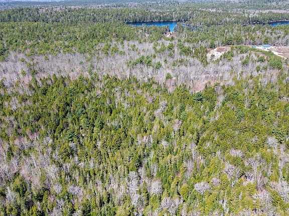 2nd image of 350 Punkinville Road