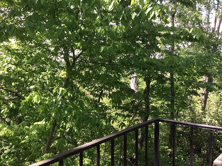 1425-1431 Sunset Ridge Dr — Photo 9