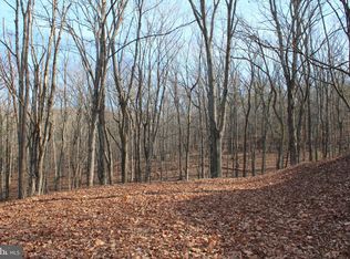 1300 Starnes Rd, Romney, WV 26757