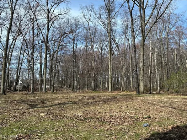 S/l 2 Redwood Blvd, Avon Lake, OH 44012