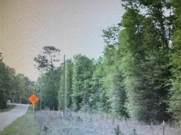 2 Reds Landing Rd, Andrews, SC 29510