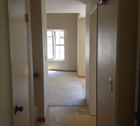2nd image of 244 Wales Dr