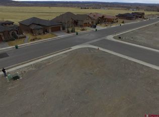 1101 San Sophia Dr, Montrose, CO 81403