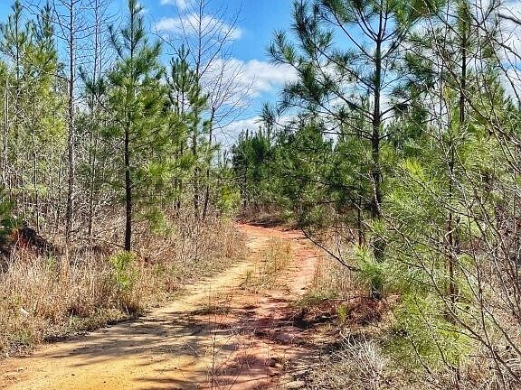 5th image of 0 Brinkley Rd