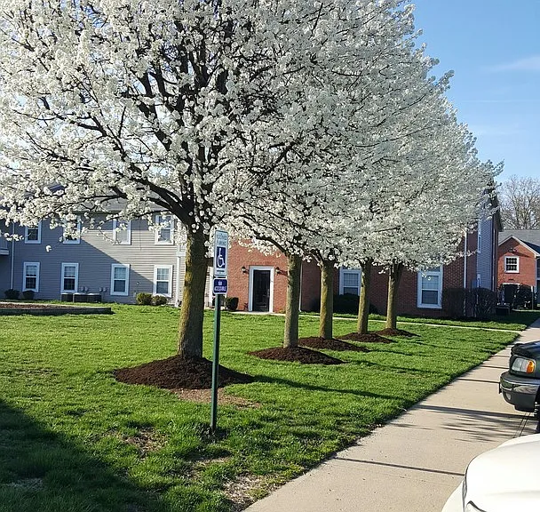 185 - COUNTRY VIEW APARTMENTS — Photo 6
