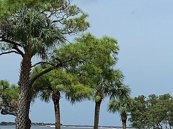 3rd image of Shore Dr