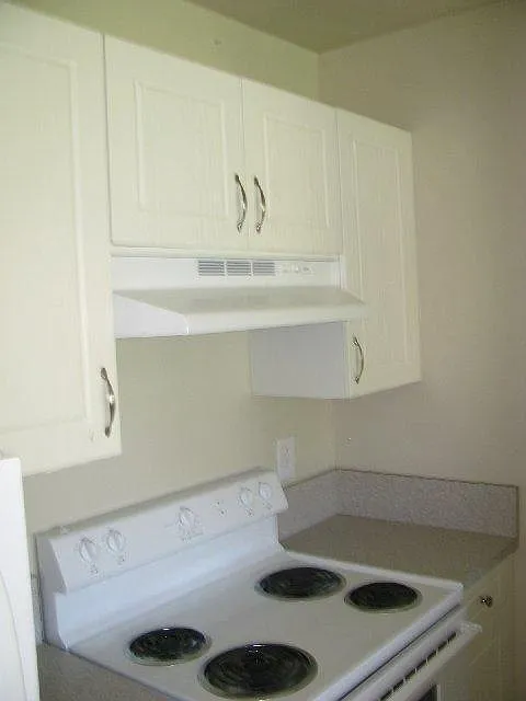 1 bed, 1.0 bath, 545 sqft, $1,550 — Photo 4