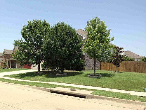 2nd image of 3400 Forsythia Dr