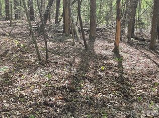 LOT 172 W Lake Dr N, Lake Lure, NC 28746
