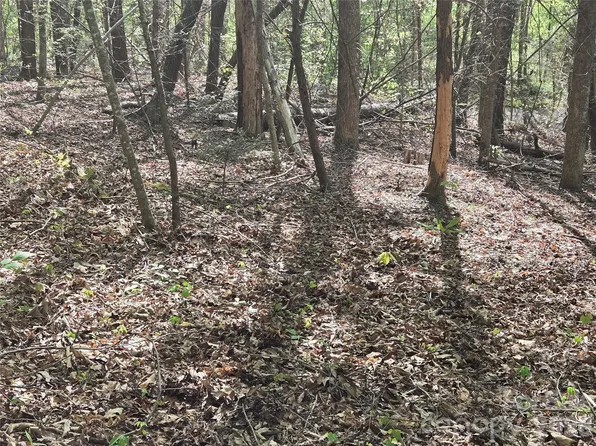 LOT 172 W Lake Dr N, Lake Lure, NC 28746