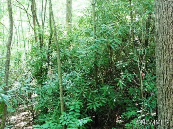 10 Autumn Mist Dr, Fairview, NC 28730