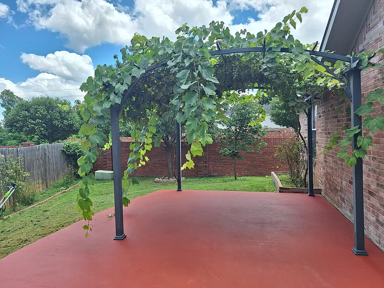 208 Iris Ln — Photo 24