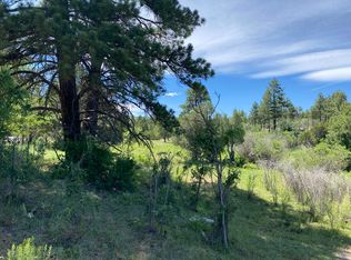 4th Of July Rd, Torreon, NM 87061