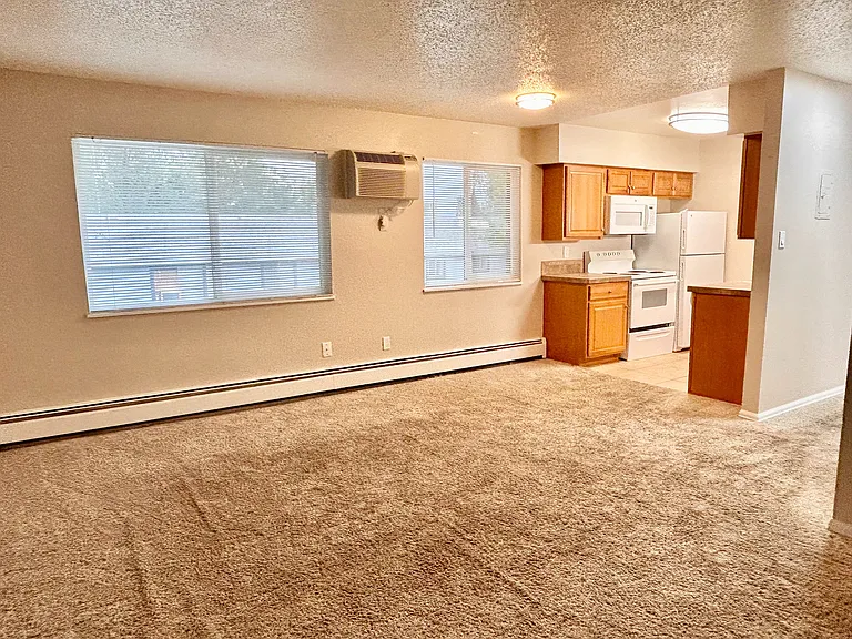 Bright and airy apartment with spacious carpeted living area and cozy kitchen featuring wooden cabinetry and modern appliances.