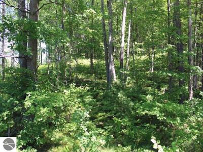 0 N Morey Rd, Lake City, MI, 49651