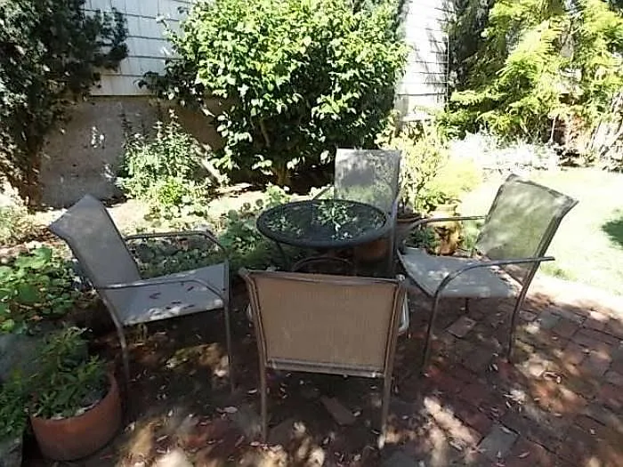 Shared rear yard