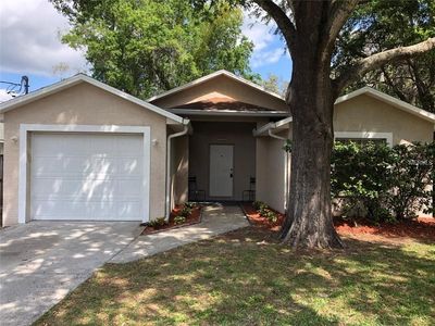 1315 W Knollwood St, Tampa, FL, 33604