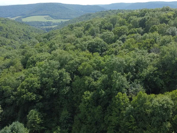 0 Fox Hollow Rd, Roulette, PA 16746