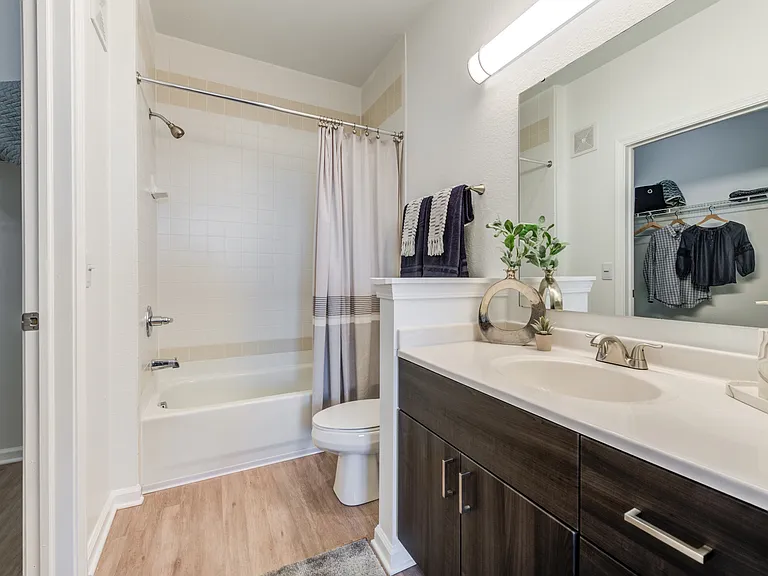 Newly Renovated Bathroom with Walk-In Closet