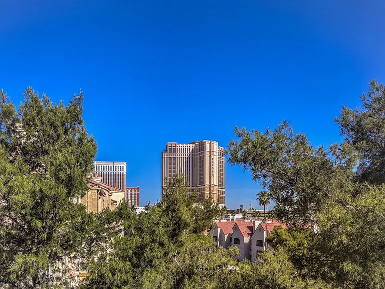 260 E Flamingo Rd #417 — Photo 24