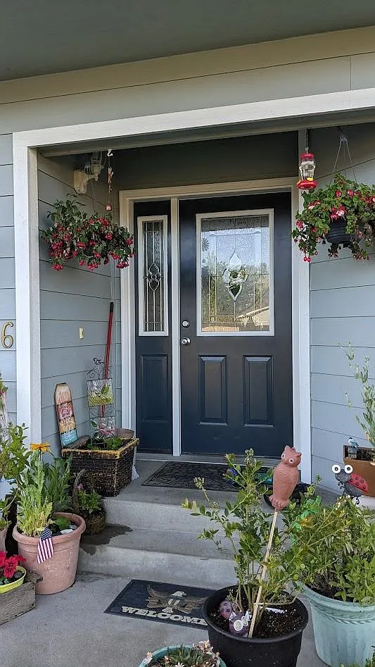 front door - 4446 Knorr Ct
