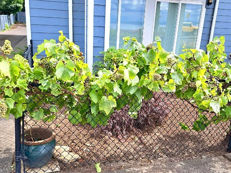1718 Alki Ave SW #100 — Photo 40