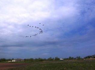 Buyarski Rd, Green Bay, WI 54311