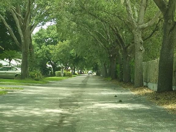 4th image of 1946 Elaine Dr