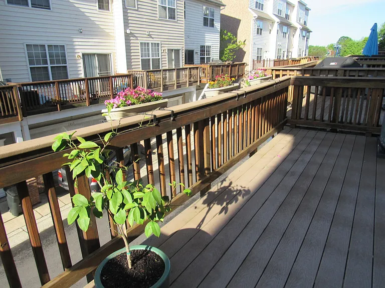 3848 Dominion Mill Dr — Photo 30