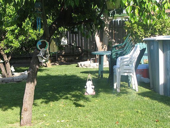 Shady back yard