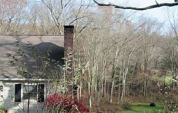 2nd image of 26 Arrowhead Ln