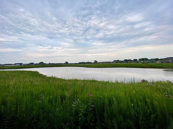 Your backyard neighbors are Ducks