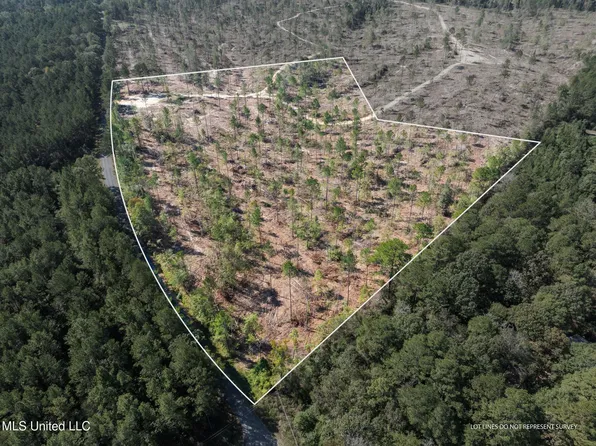 1636/ACRE S Noel Townsend Rd, Seminary, MS 39479