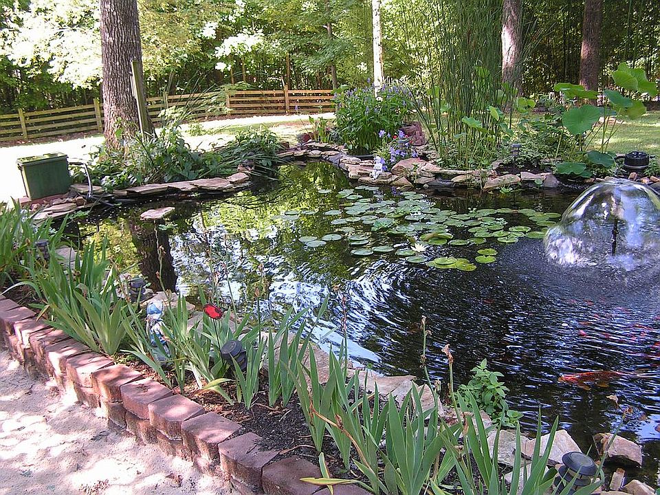 Koi Pond