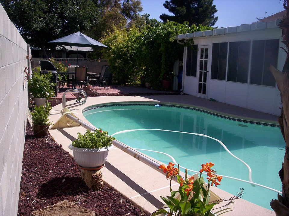 Back yard