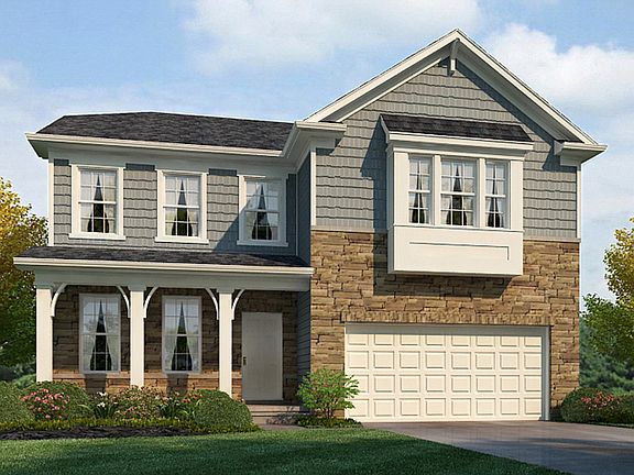 Elevation Image 3.