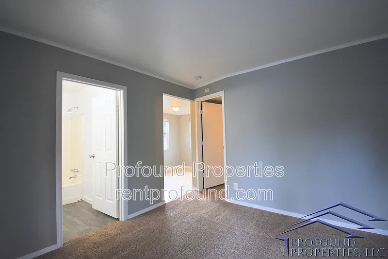 1 bed, 1.0 bath, 480 sqft, $1,295 — Photo 4
