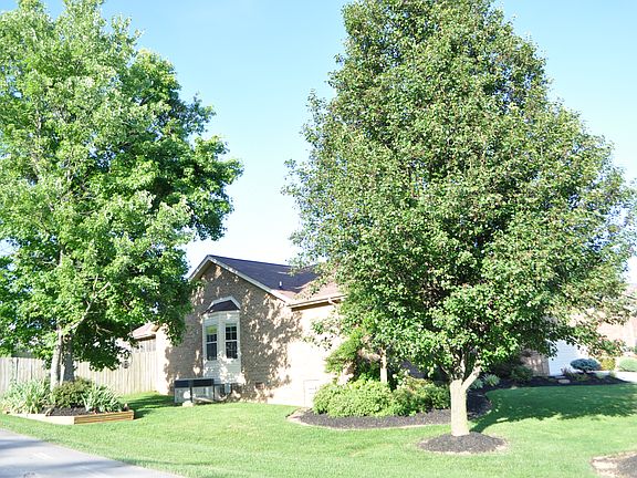 3rd image of 4321 Foothills Dr