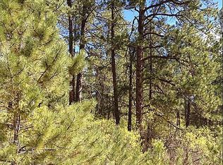 773 Poncho Rd, Larkspur, CO 80118