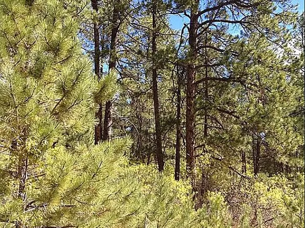 773 Poncho Rd, Larkspur, CO 80118