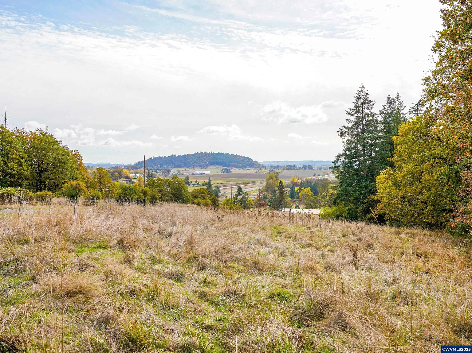 10865 Southview Loop SE photo 1