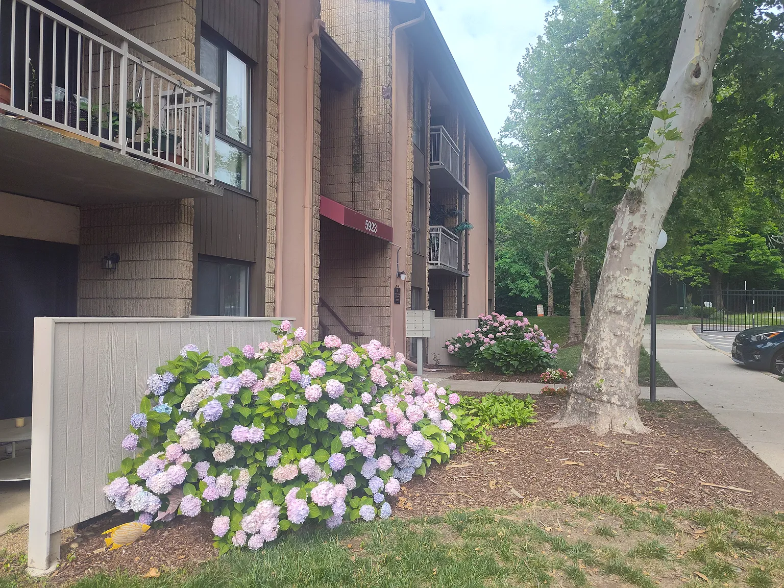 4 bed, 1341 sqft, $2,695 — Photo 4