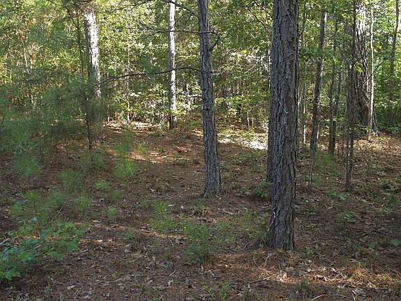 2nd image of 0 Salem Rd #156A