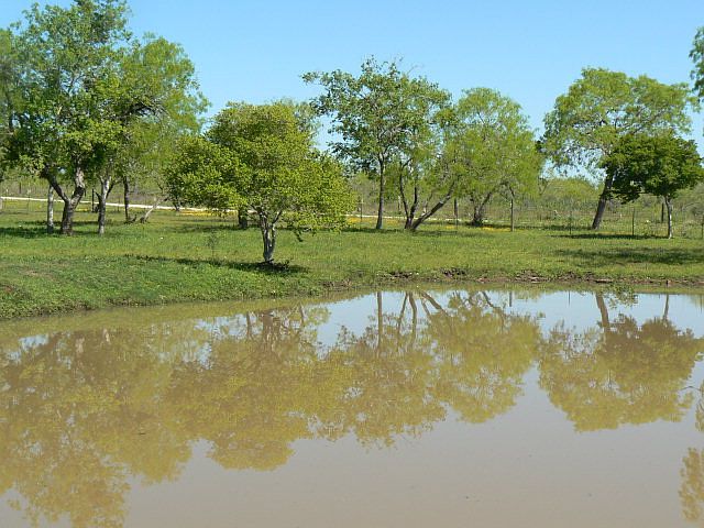 1st image of 1480 County Road 421