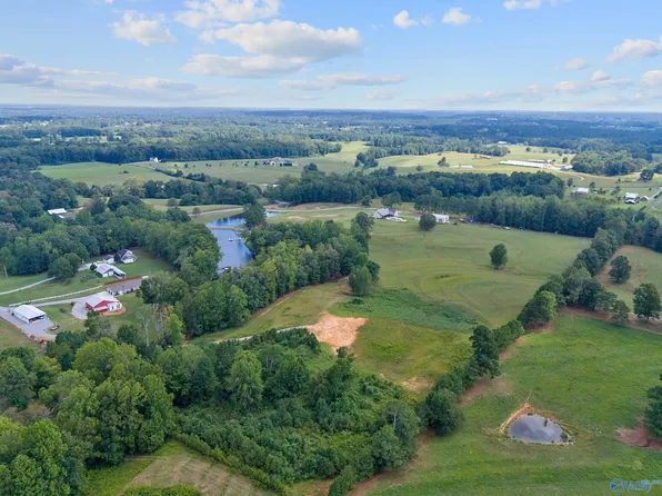 County Road 1225, Vinemont, AL 35179
