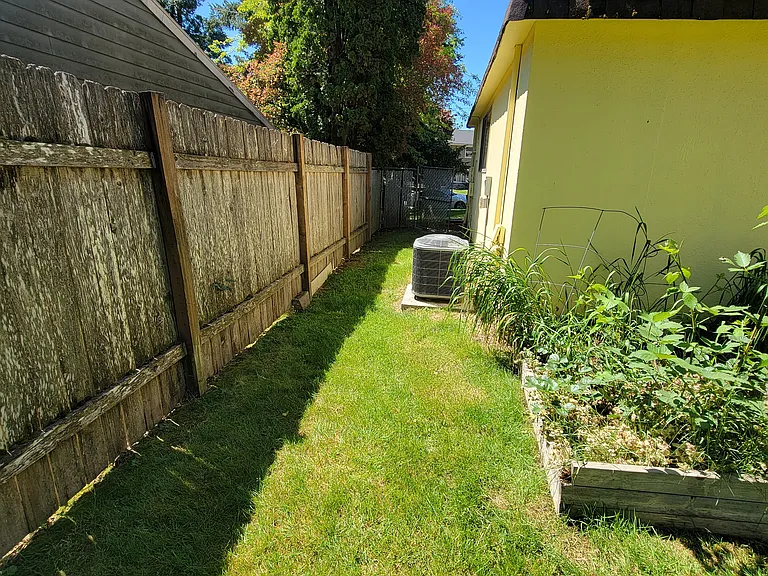Back Side yard