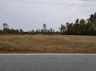 818 Second Bend Rd, Harleyville, SC 29448