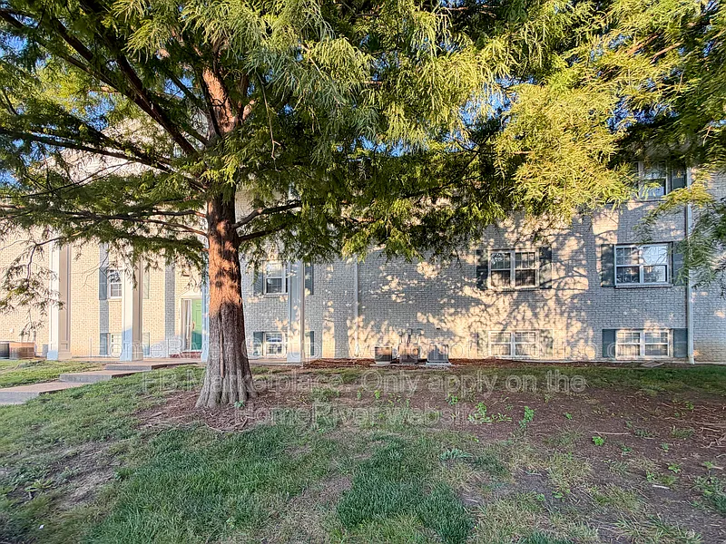 1 bed, 1.0 bath, 720 sqft, $950 — Photo 2