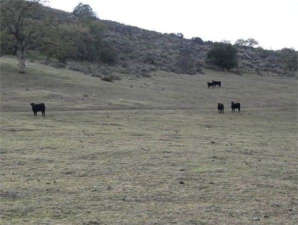 1st image of 26346 Old Julian Hwy